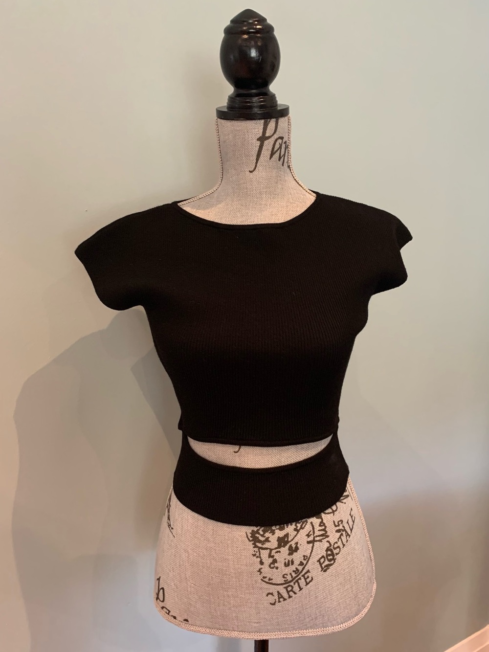 Wilfred Black Ribbed Cutout Crop Top